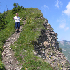 Bild von Zottelige Landschaftspfleger am Veitsberg
